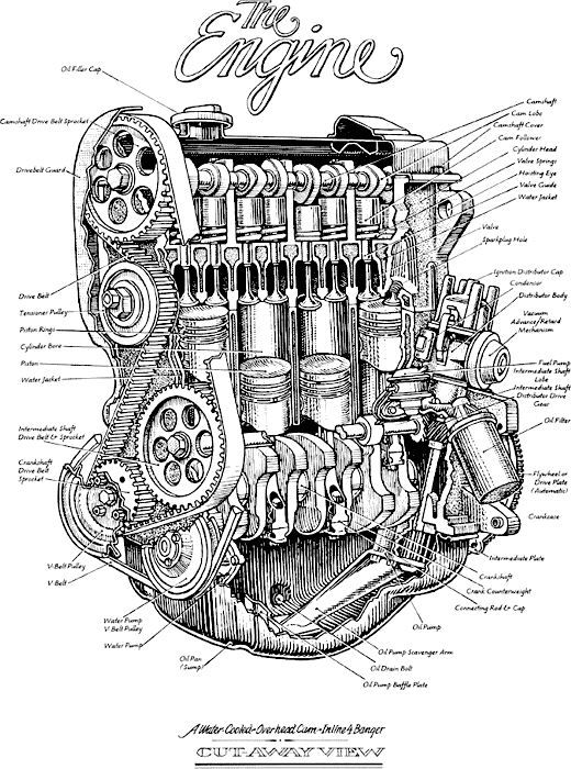 The Engine (Rabbit)